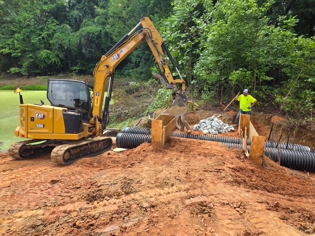 Pond restoration project